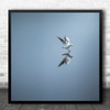 Wildlife Seagull In Open Water Seascape Square Wall Art Print