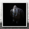 Vulture Bird Animal Dark Background Square Wall Art Print