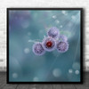 Macro Flowers Purple Creative Edit Virus Disease Flower Flora Square Art Print