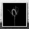 Still Life Bud Flower Flowers Flora Floral Contrast Backlight Square Art Print