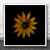 Flower Golden Orange Yellow Dark Macro Still Life Square Wall Art Print