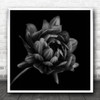 Dahlia Flower Monochrome B&W Still Life Flowers Square Wall Art Print