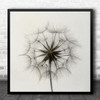 Dandelion Feather Downy Tuft Graphic Flower Square Wall Art Print
