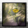 Still Life Flower Floral Botanical Leaf Square Wall Art Print