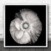 Black And White Poppy Close Up X-Ray Square Wall Art Print