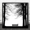 No person Birds Graphic Bench Contrast B&W Trees Branches Alone Square Art Print