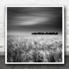Land Landscape Wheat Bread Field B&W Agriculture Farm Farming Square Art Print