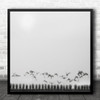 Winter Fields Trees Seagulls B&W Landscape Birds Square Wall Art Print