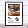 Pet Loss Memorial Forever Missed Paw Print Photo Personalised Gift Art Print