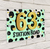 Dalmatian Print Gold Heart Mint Green 3D Modern Acrylic Door Number House Sign