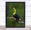 Toucan Forest Eat Beautiful Food Colour Colourful Trick Wall Art Print