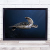 Turtle Underwater Chelonia Mydas Island Green Blue Deep Wall Art Print