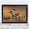 Bird Nature Birds Wildlife Wild Cone Cones Branch Twig Wall Art Print