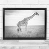 Giraffe with baby Black & White Wildlife Nature Africa Wall Art Print