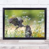 Wildlife Owl Bird Mouse Bokeh Countryside Rural Flower Wall Art Print