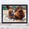 Russia Nature Animals Wild Bears Water Fighting scary Wall Art Print