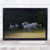 Action Adventure Horses Running Tails Wildlife Africa Wall Art Print