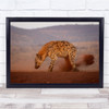 Hyena South Africa Long Exposure Low Angle Brown Dust Wall Art Print