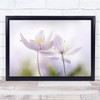 Nemorosa Spring Woodland Floral Close-Up Pink Anemone Wall Art Print