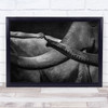 Touching elephant and person black and white wildlife Wall Art Print