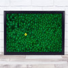 Field of green flowers yellow petals abstract Colour Wall Art Print