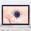 Flower Close-Up Bloom Flowerhead Pastel Colours Pink Wall Art Print