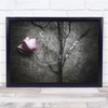 Flowers Still Life Botanical Rose Texture Monochrome Wall Art Print