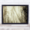 Fog Tree Sintra Panorama Portugal Light Forest Trees Wall Art Print