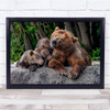 Kurile Lake Kamchatka Nature Animals Wild Bears Cubs Wall Art Print