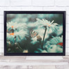 Nature Tehran Butterfly Insects Closeup White Dreamy Wall Art Print