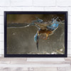 Wildlife Animal Animals Nature Bird Birds Underwater Wall Art Print