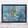 Wildlife Animals Nature Bird Greenfinch Flock Yellow Wall Art Print