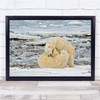 Wildlife Nature Animals Fighting Playing Polar Bears Wall Art Print