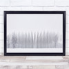 Winter Snow Poplars Padania Italy White Trees Forest Wall Art Print