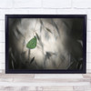 Butterfly Bokeh Insect Bug Bugs Macro Black & White Wall Art Print