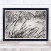 Canada Black White Ontario Wind Blowing Harsh Reeds Wall Art Print