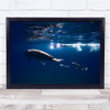 Gugong Photographer Underwater Speed Sprint Animals Wall Art Print