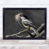 Bird Chickadee Black-Capped Birds Wildlife nesting Wall Art Print