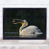 Catch Hunter Bird Eat Wildlife Water Prey Stranger Wall Art Print