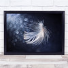 Close-Up Reflection Bokeh Feather Macro Still Life Wall Art Print