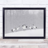 Cranes Japanese Bird Wildlife Nature Animal Winter Wall Art Print