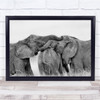 Elephant Black & White Wildlife Nature Animals Hug Wall Art Print