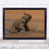 Landscape Baby Elephant Calf Enjoying The Mud Bath Wall Art Print