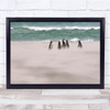 Penguins Falklands Islands There Behind The Clouds Wall Art Print