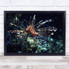 Underwater Sea Egypt Fish Taba Red Lionfish Poison Wall Art Print