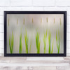 Abstract Corn Grass Graphic Leaf Leaves Botanical Wall Art Print