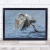 Animal Animals Birds Fish Caught Prey Water River Wall Art Print