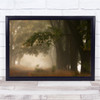 Autumn Landscape Fog Fall Atmosphere Trees Forest Wall Art Print