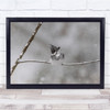 Crested Kingfisher Japan Snowstorm Wild Life Bird Wall Art Print