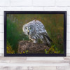 Enjoy The Breakfast Owl Catch Mouse Feathers Hunt Wall Art Print